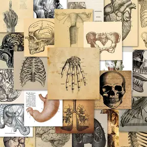Human Anatomy Pattern Sticker for Cellphone Casing, 54pcs/set Waterproof Self Adhesive Decor Sticker for Gift Greeting Card Water Bottle Laptop Phone Case