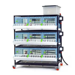 Chick Brooder - 3 Layer H: 9.5" - 3-Layer Chick Brooder (9.5" Height) for Safe Chick Rearing