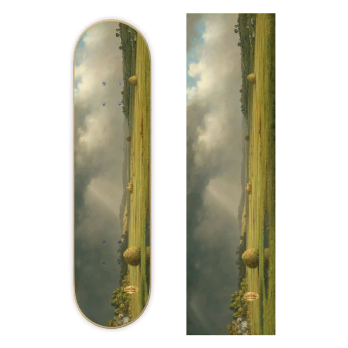FIELDS - Pvblic Domain Skateboard Griptape