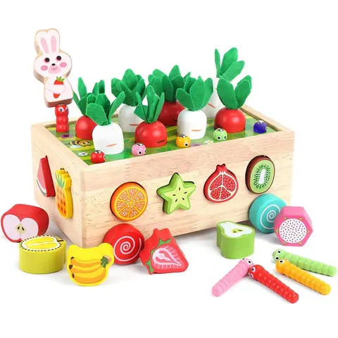 Wooden Vegetable & Fruit Shape Sorter, 31pcs/set Colorful Shape Sorter Toys, Educational Carrot Car Toy for Kids, Funny Gift for Boys & Girls, Toddler Playset, Pretend Play Item