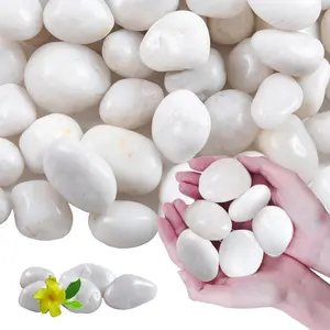 10Ib White River High Polished Decorative Pebbles Stones for Landscaping Plants Garden Aquarium Home Decor