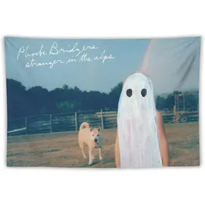 Tapestry Decor Phoebe Music Poster Bridgers Tapestry Album Cover Banner Posters Wall Art for Bedroom, College Dorm, and Home Decor - Decorative Hanging Flag Poster