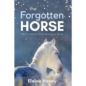 The Forgotten Horse - Book 1 in the Connemara Horse Adventure Series for Kids. The perfect gift for children age 8-12. -- Elaine Heney - Paperback