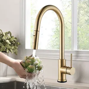 Kitchen Faucets with Pull Down Sprayer, High Arc Stainless Steel Single Handle Kitchen Sink Faucet, 1 Hole Brushed Gold Water Faucets for Farmhouse Laundry Camper Rv Bar