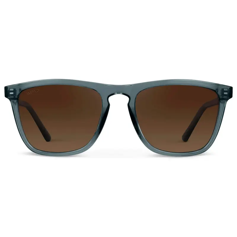 Wesley | Polarized Rectangular Modern Sunglasses For Men