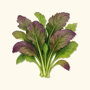 Vego Garden Red Giant Mustard Greens Seeds