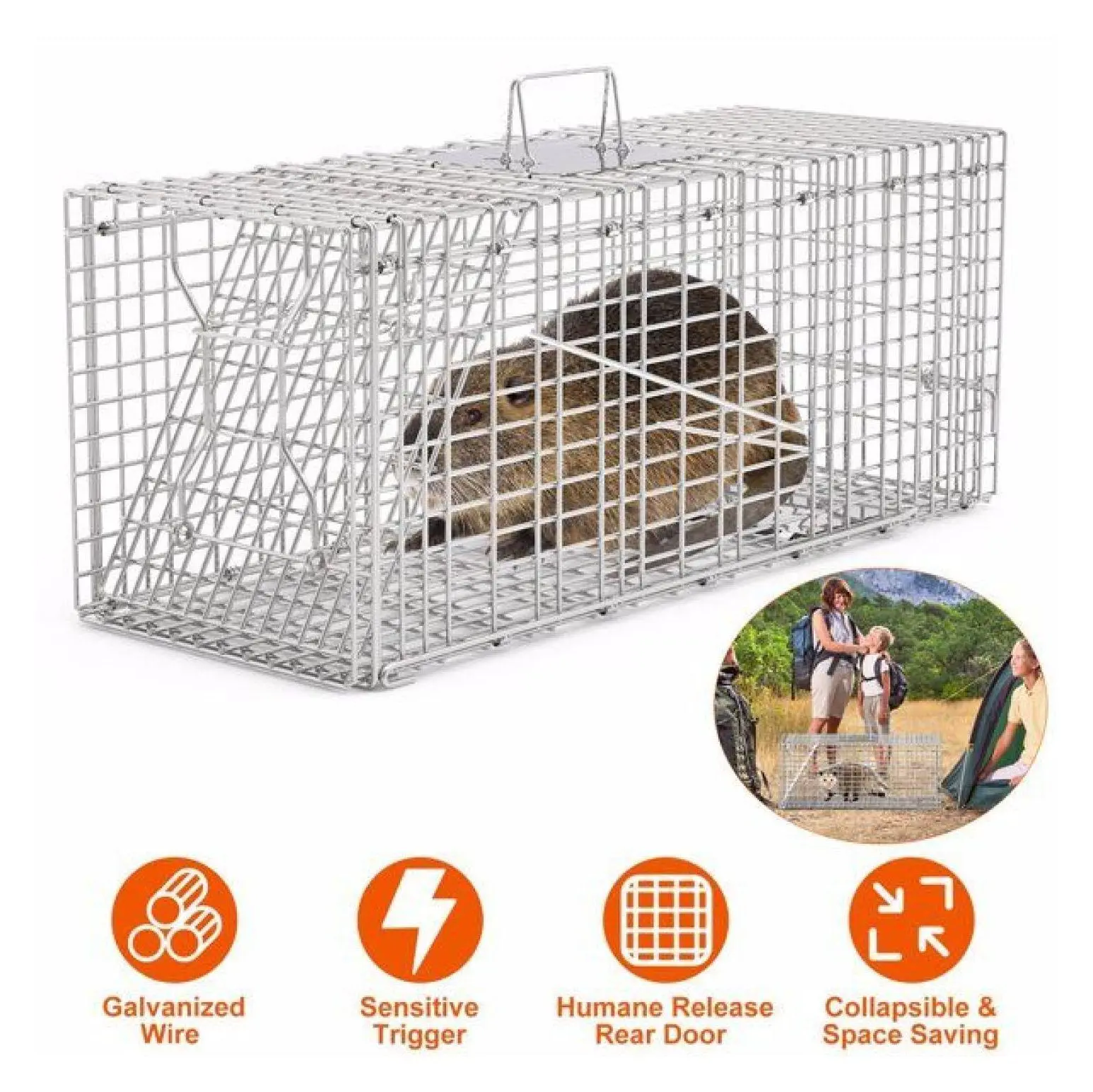 Animal Trap Cage 30.5" - Humane Live Trap for Raccoon, Skunk, Opossum Under 16.5lbs - Galvanized Steel, Sensitive Trigger, Dual Door, Collapsible Design, Handle Guard default title