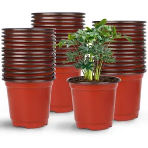 Pot, 75 count 4" Plastic  Seed Starting Pots Flower  Container for Succulent Seedling  Transplanting