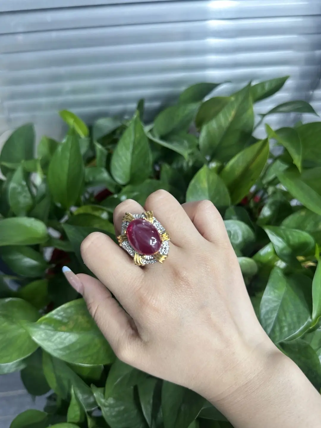 Rose(14598)gc.Red star ruby