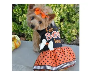 Holiday Dog Harness Dress - Fab-BOO-lous