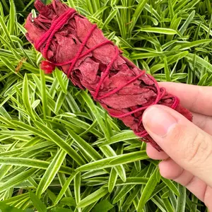 Dragon’s Blood Sage