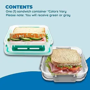 Biosmart Sandwich Container: 1 Pack Reusable, BPA Free Plastic Food Storage with Snap-Off, Vegetable Container, Sandwich Container With Leak-Proof Lid: *Colors Vary