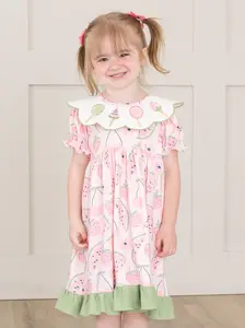 Watermelon Pops Embroidered Ruffle Dress