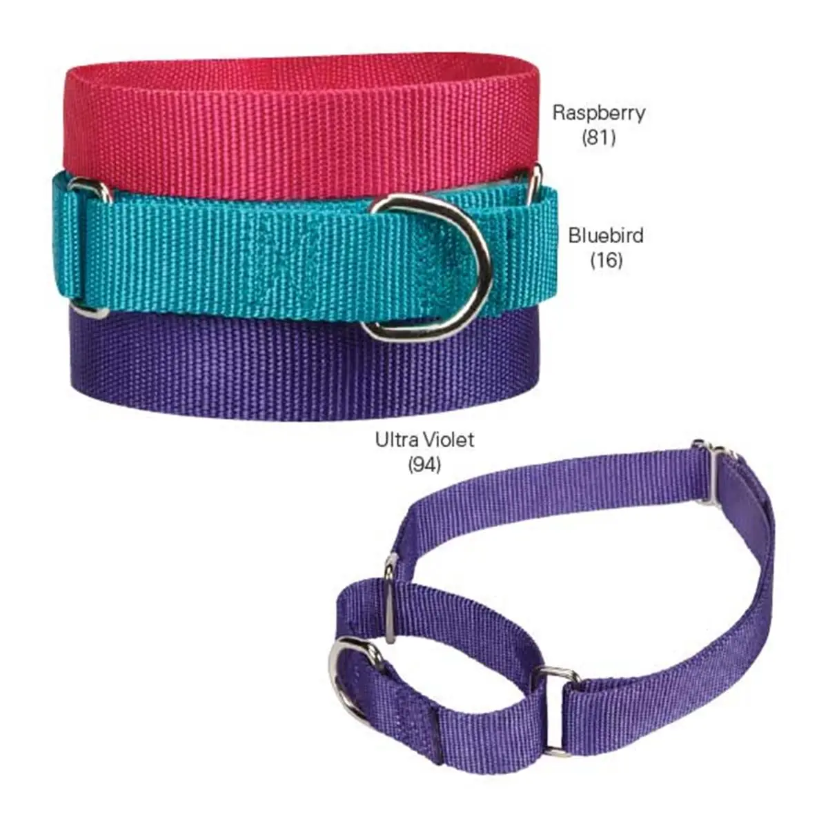 212 MAIN Nylon Martingale Collar - 10-16 in Bluebird, Guardian Gear Design, Nylon Fabric, Greyhound-Fit, Large Neck, Escape-Preventing, Pull-Control for Sports & Outdoor Fitness Accessories