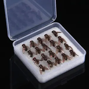 10/20pcs Artificial Bait Fly Fishing Lures, Headed Fly Soft Baits, Horse Mouth Hooks, Fake Flies, Ideal for Fly Fishing Enthusiasts