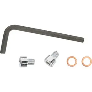 Gardner-Westcott P-74-45 Fork Drain Plug | 41mm Chrome Allen Head