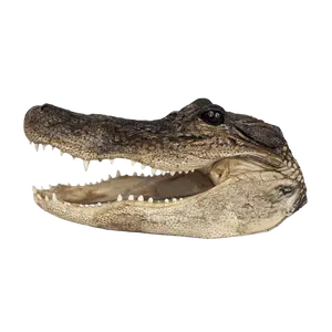 XL Gator Head - 3 Sizes - 13" to 16"
