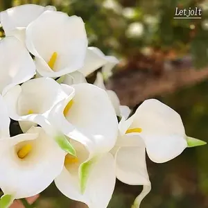 20pcs White Silk Calla Lily Artificial Flowers with Green Stems - 13.5 Inches, Perfect for Mother’s Day, Easter, Thanksgiving, DIY Weddings & Home Decor, Elegant Tabletop or Event Decor, and Fresh-Look Floral Arrangements.