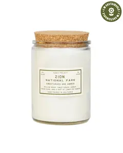 Zion Sweetgrass and Amber Candle