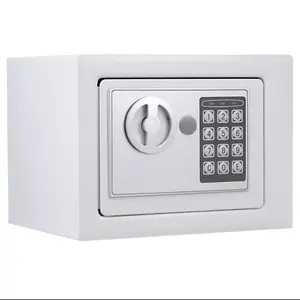 Electric Safe