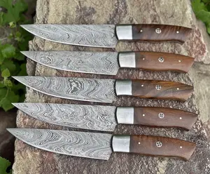 Custom Handmade Damascus Steak Knife Set 5 Pcs