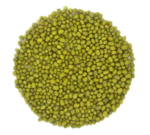 Whole dried Organic Mung Beans aka 'Green Gram' 'Maash' 'Moong' Prewashed Clean Ready to Cook non GMO