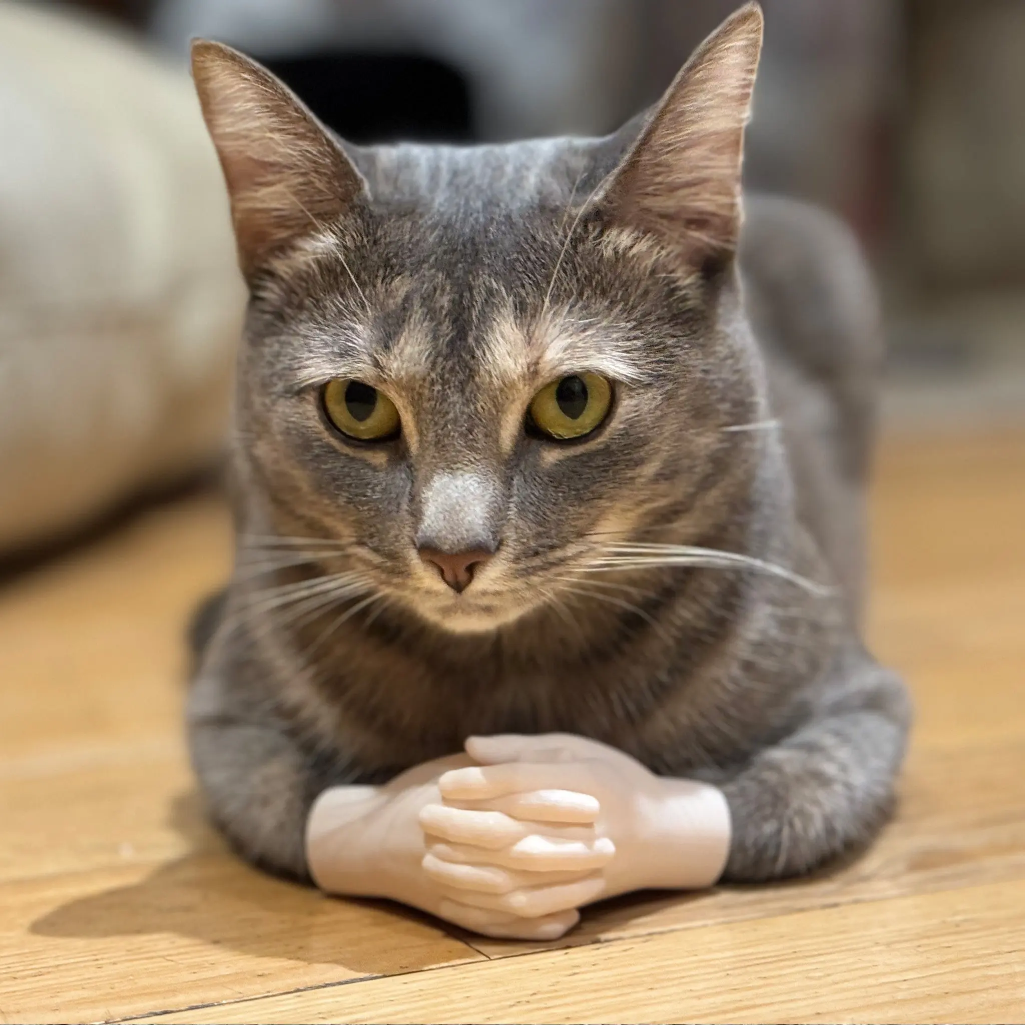Cat Hands! Original 3D-Printed Cat Photo Prop
