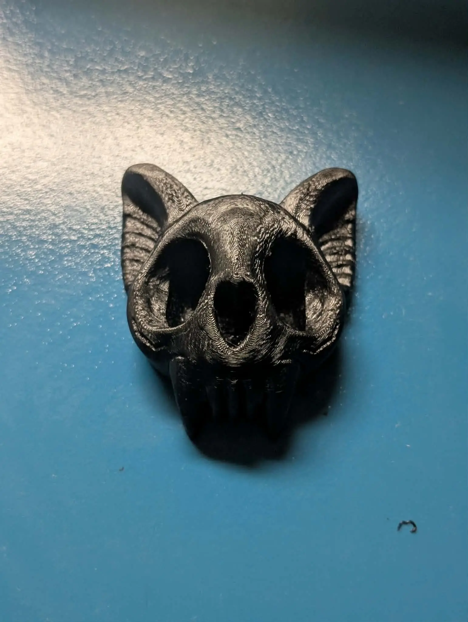 Bat Head 3D Printed Jumping Spider Hide | Black, Goth, Witchy, Themed, Jumping Spider Accessories, Jumping Spood Hide