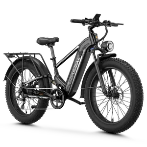 Aipas® M2 Pro Xterrain Ebike