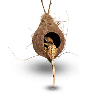 Hanging Coconut Reptile Hide