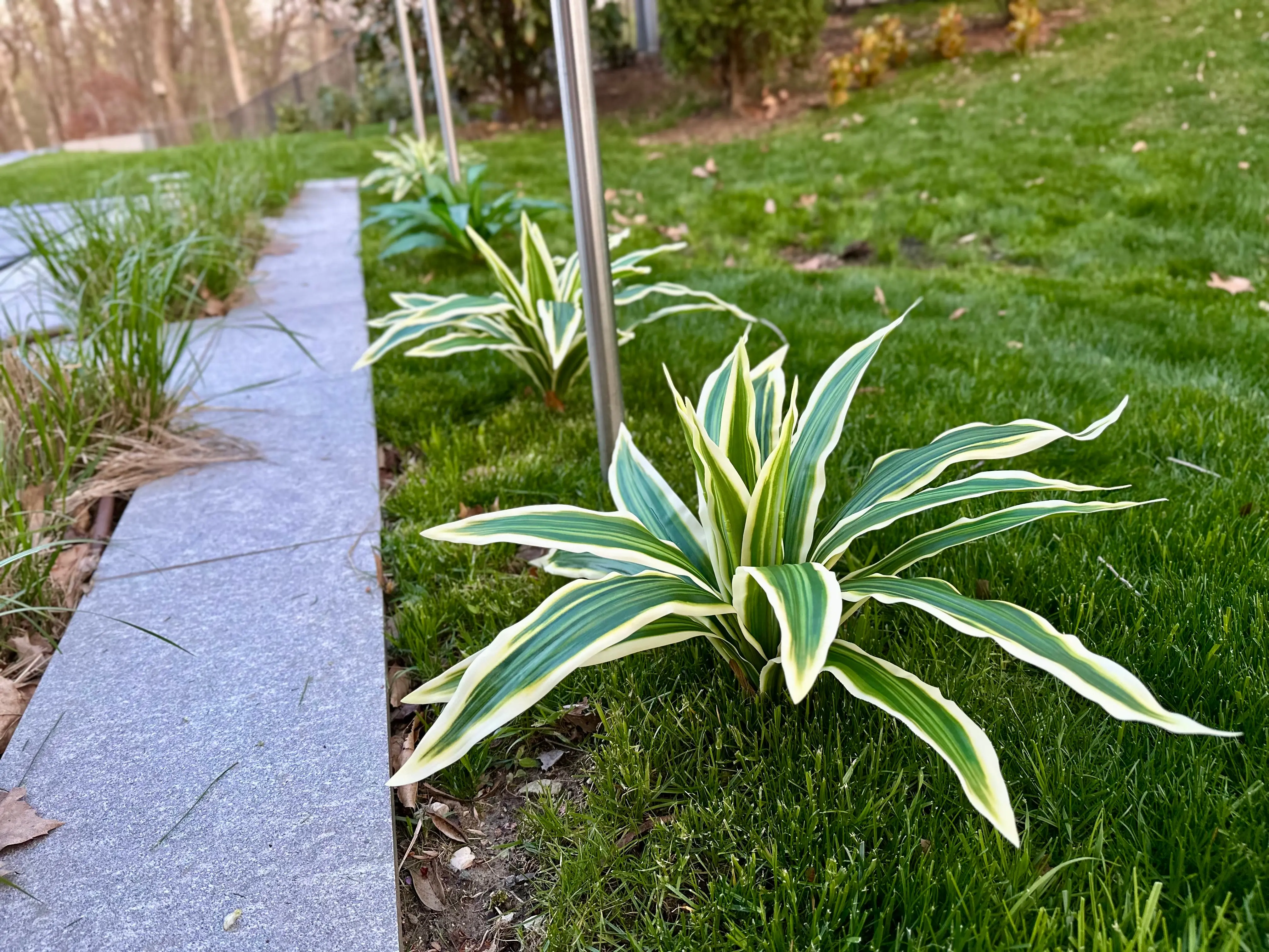 Brazilian Beauty Tequila artificial plant for yard