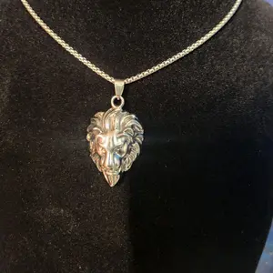 Orgonite Filled Steel Lion Head Pendant Necklace for Men Women Unique Gift Idea