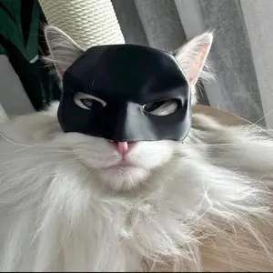 Bat Cat Mask - Perfect Pet Costume Accessory for Any Occasion - Accessories