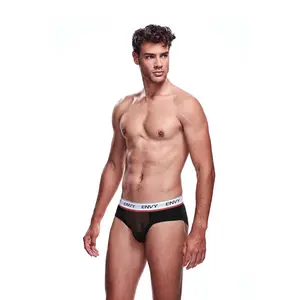 Mesh Brief Mesh Brief