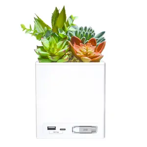 Power Bloom Decor that Delivers Power with Built-in Retractable Cord Charge Up to 3 Devices at Once 45W Output USB Type-C & A Ports Realistic Succulent Design