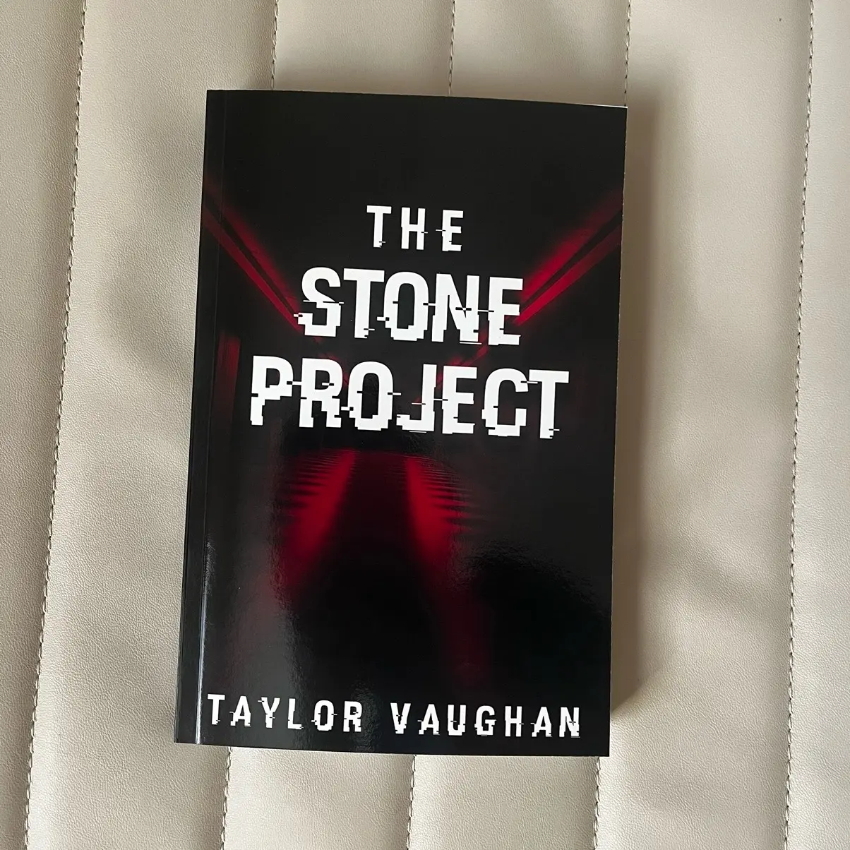 Novel, The Stone Project by Taylor Vaughan, first edition