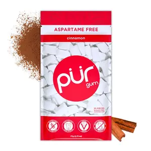 PUR Gum | Aspartame Free Chewing Gum | Xylitol | Cinnamon Flavored Gum, 55 Pieces (Pack of 1)