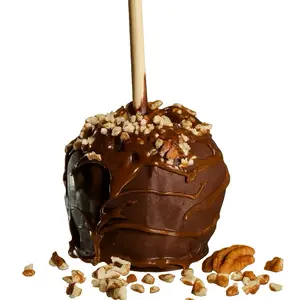 Turtle Milk Chocolate Gourmet Caramel Candy Apple -GF