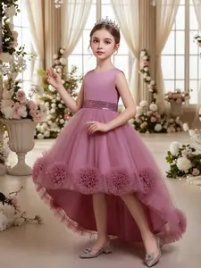 Children's Halloween Costumes,Girl's Floral Jacquard Tulle Overlay Dress, Princess Peach Dress Poof, Princess Seraphina Dress, Layered Tulle Dress, Elegant Round Neck Sleeveless A Line Dress for Party Wedding Guest, Kids Clothes for All Season.