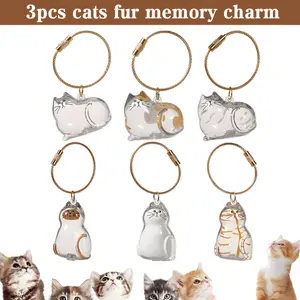 6Pcs Clear Cat Fur Keepsake Charm,Memory Storage Keychain,Collect & Carry Cat Hair,Three combinations,Memorial Gift for Cat Lovers