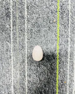 B「only live」crystal carving egg