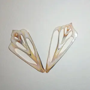 Sea Shells for Jewelry Making Natural Coastal Craft Supplies Ideal for DIY Projects and Artistic Creations