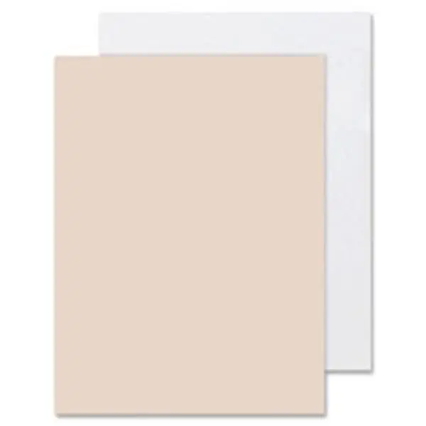 Heavyweight Tagboard - Thick Cardboard Office Presentation Supplies, 24 in. x 36 in., 100SH-PK, Manila