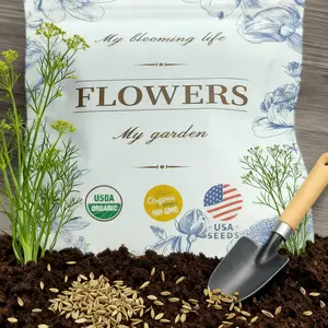 Dill Seeds – 300 Heirloom Seeds | Easy-Growing Culinary Herb for Home & Garden