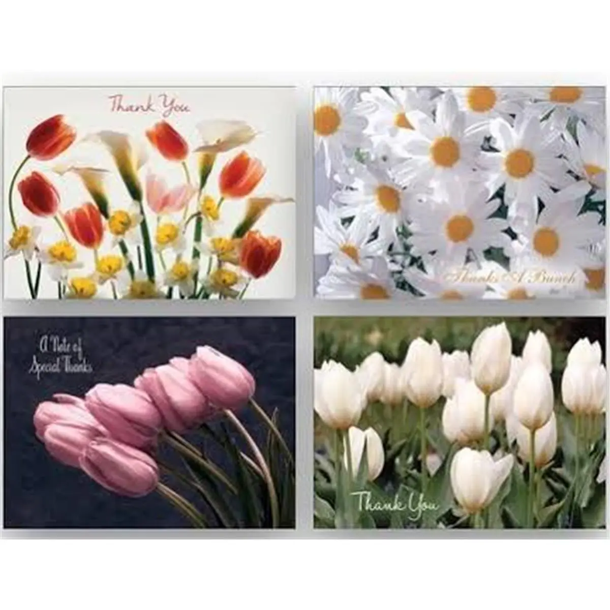Crown Point Graphics Coastal Shared Blessings Christ-Centered Greeting Cards - Thinking of You Thank You Cards with Gratitude Messages, Box of 12