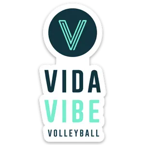 VidaVibe Volleyball Sticker