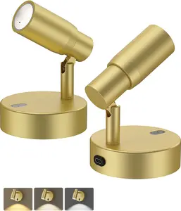 Rechargeable Picture Light – Dimmable CCT Spotlight with Remote, 6000mAh Battery, 350° Rotatable, Magnetic Mount, Gold Finish for Artwork Plants & Accent Lighting