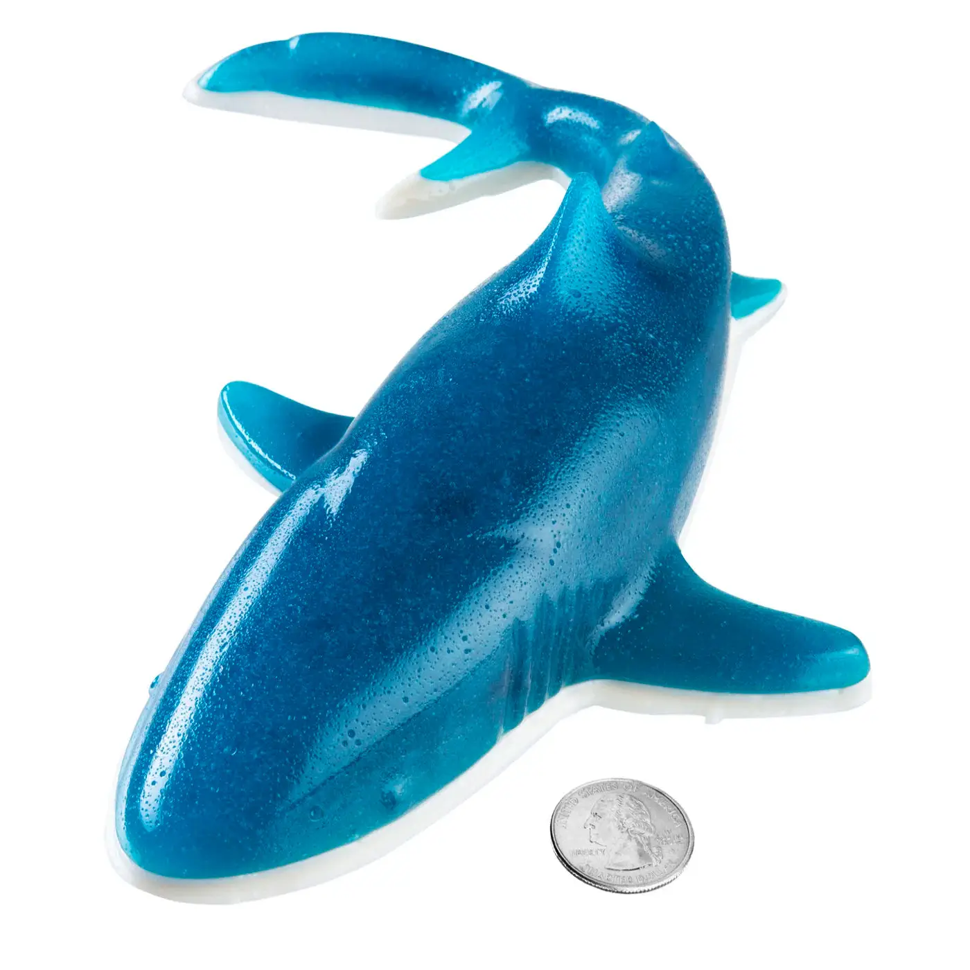 Giant Gummy Shark - Blue Raspberry & Strawberry-Banana Gummy Snack Flavors