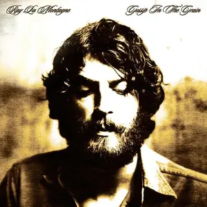 Gossip In The Grain - Ray Lamontagne - Record Album, Vinyl LP