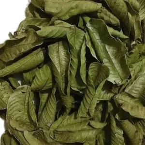 Premium Florida Guava Dried Leaves Tea - 80g - Organic Matcha Beverage, Herbal, Non GMO, No Sugar, Caffeine, Gluten, Vegan